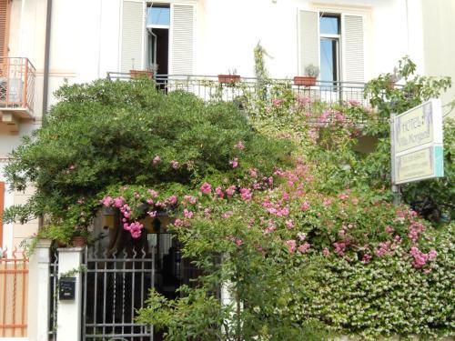 Hotel Morgana 2*