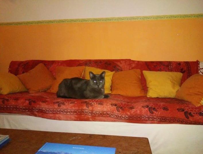 Morgana Hotel Viareggio